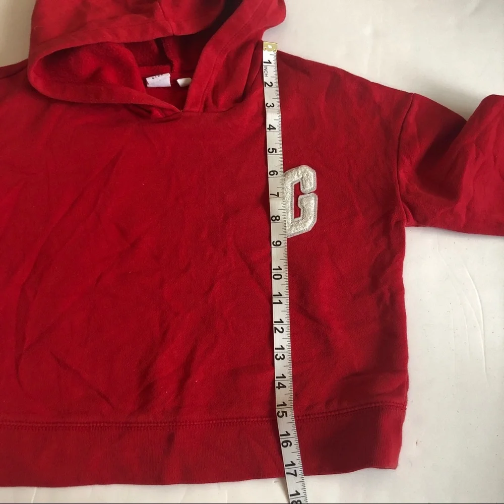 Gap hoodie